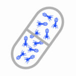 Fagi w kapsułce w2 550x550 z tłem