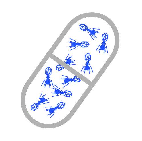 Fagi w kapsułce w2 550x550 z tłem