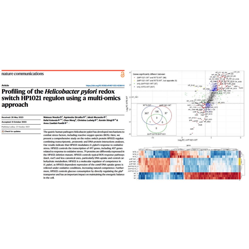 Article by dr hab. Anna Pawlik, dr Jakub Muraszko and mgr Mateusz