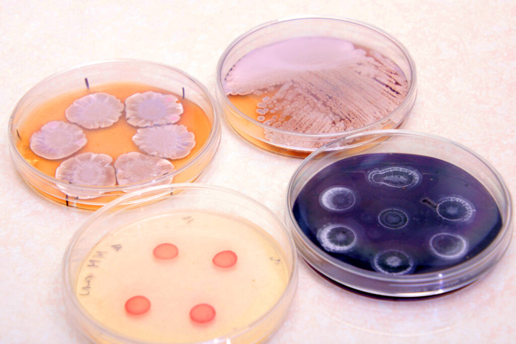 Laboratorium Biotechnologii