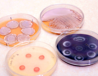 Laboratorium Biotechnologii