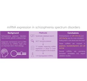 Potencjał diagnostyczny miRNA w schizofrenii – praca naukowców z Laboratorium Immunopatologii w Neuroscience & Behavioral Reviews